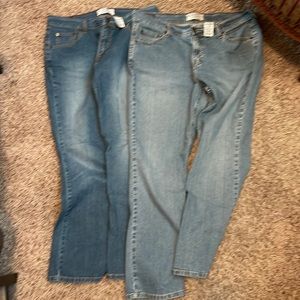 Signature by Levi Strauss - 2 Pair of Size 14 Levi’s Signature Jeans